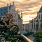 A Leuven, Dante Alighieri e Comites: la sfida sono i giovani