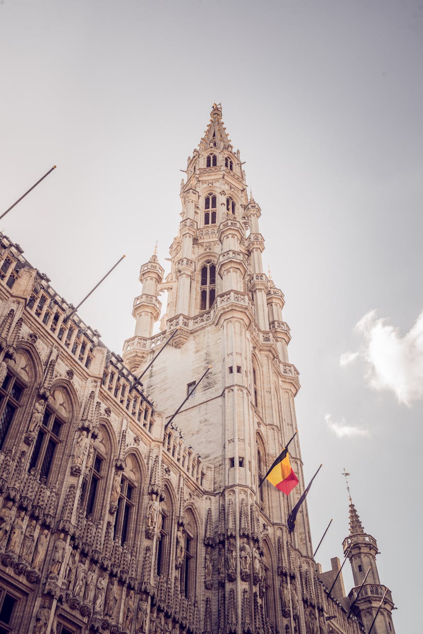 the city hall of brussels