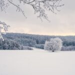 La prima neve in Belgio: codice giallo