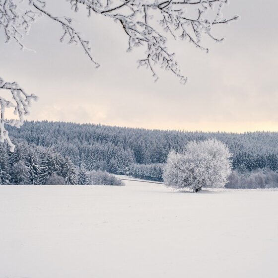 Prima neve in Belgio temperature basse